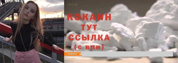 стаф Абинск