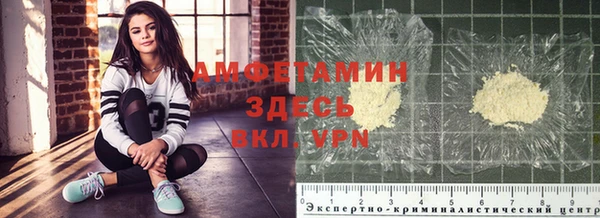 стаф Абинск