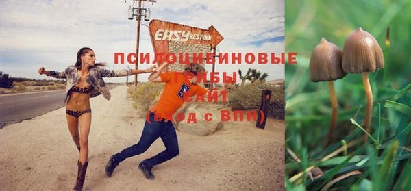 меф Нефтегорск